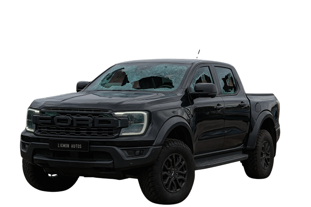 31020b4b 580a 4e4e 894f 61da682e3d66